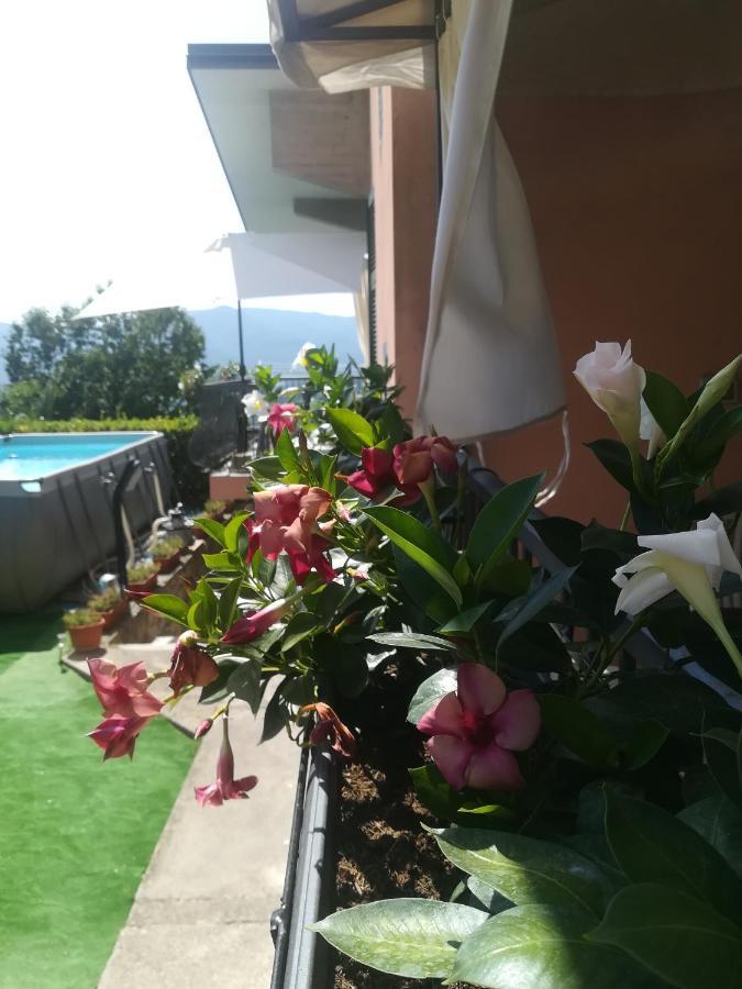 Polverara La Fontanella Apartment מראה חיצוני תמונה
